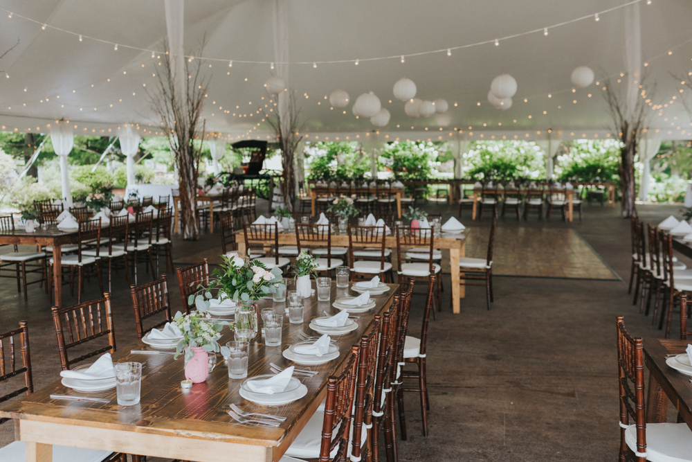 birthday party theme