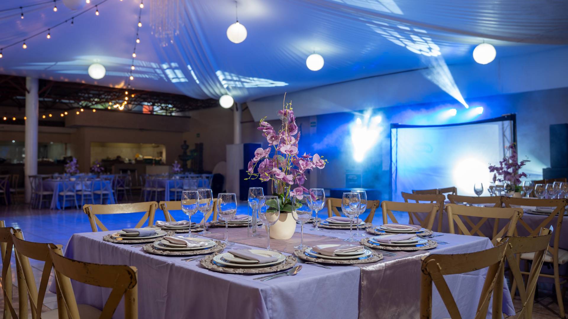 People laughing and toasting with champagne at a sunny outdoor party.