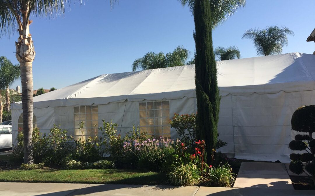 What Size Tent Do You Need? Complete Sizing Guide for 50–150 Guests
